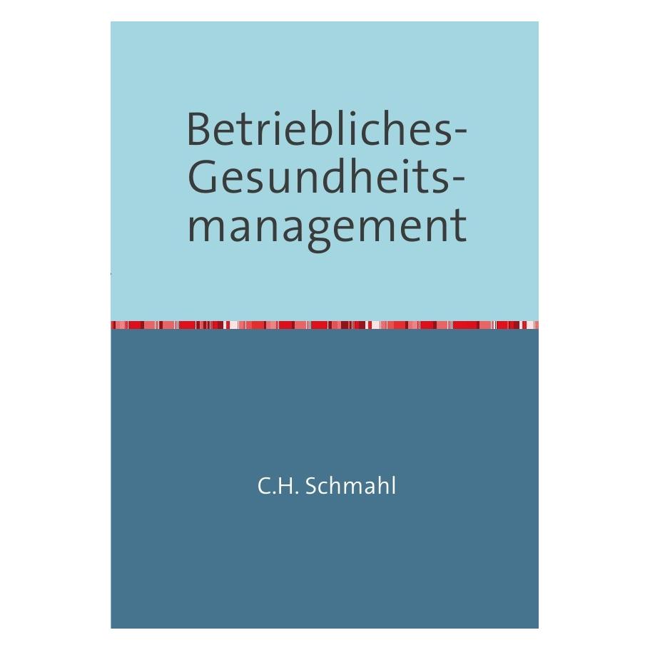 epubli Betriebliches Gesundheitsmanagement (Christian Schmahl, Deutsch) (8112257)