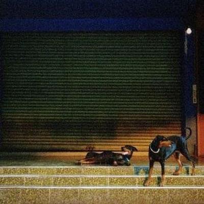 Pure Devotion - Overmono, CD