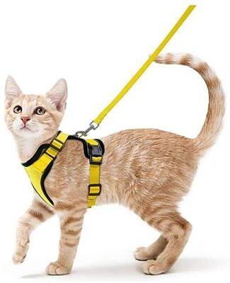 Uplifted Finds "Escape Proof ""Safe Walk"" Cat Harness & Leash Set yellow s"