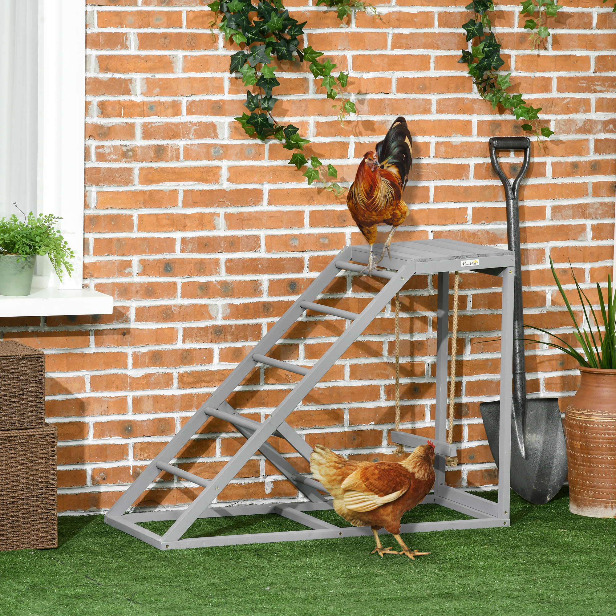 Pawhut Posatoio in legno per gallina, area giochi in legno per galline con altalena, scala, piattaforma, 96 x 40 x 71 cm, grigio   Aosom Italy