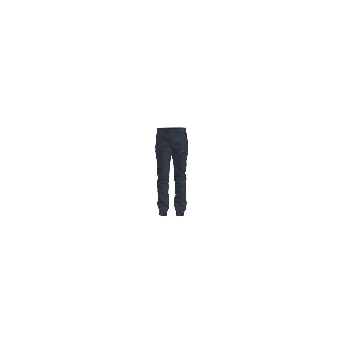 Salewa Terminal Durastretch M Pants blueberry (3010) 48/M 00-0000027927-3010-48/M