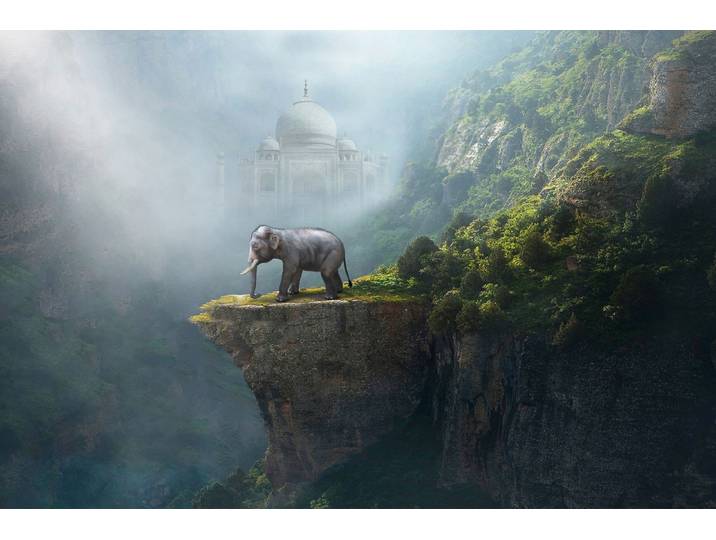 Fototapete PAPERMOON Indischer Elefant Taj Mahal , bunt, B:1,5m L:1,11m, Vlies, Tapeten, Fototapete