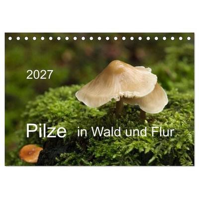 Pilze in Wald und Flur (Tischkalender 2027 DIN A5 quer), CALVENDO Monatskalender