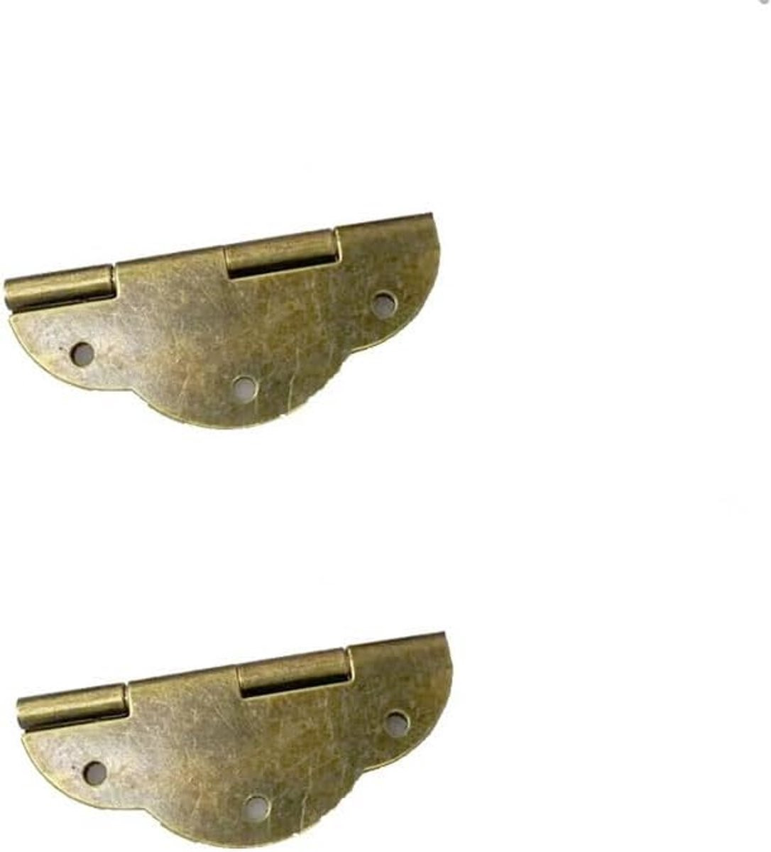 Brons Kastscharnier met Gladde Randen voor het Repareren van Kasten, 47 x 20 mm
