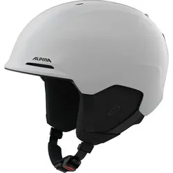ALPINA Herren Helm BRIX, Größe 51 in Silber Silber