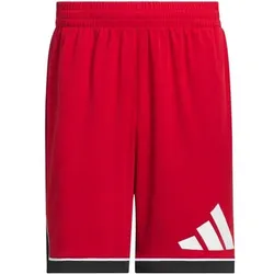 ADIDAS Herren Shorts Basketball Badge of Sport (Länge 7 Zoll), Größe S in Rot Rot