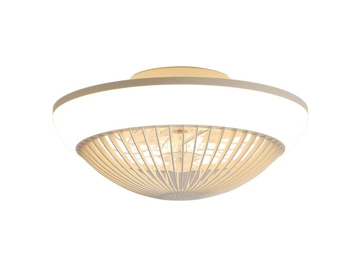 Plafonnier ventilateur led rgb dimmable, 38 cm, télécommande/app