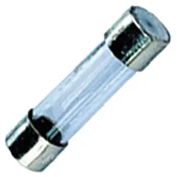 Siba G-Sicherung F 8A 179021
