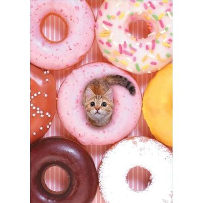 Tiny Cat Flexi Journal, Nonbook von , Abrams & Chronicle, 978-1-4521-6104-4