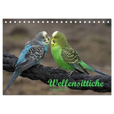 Terminplaner Wellensittiche (Tischkalender 2027 DIN A5 quer), CALVENDO Monatskalender