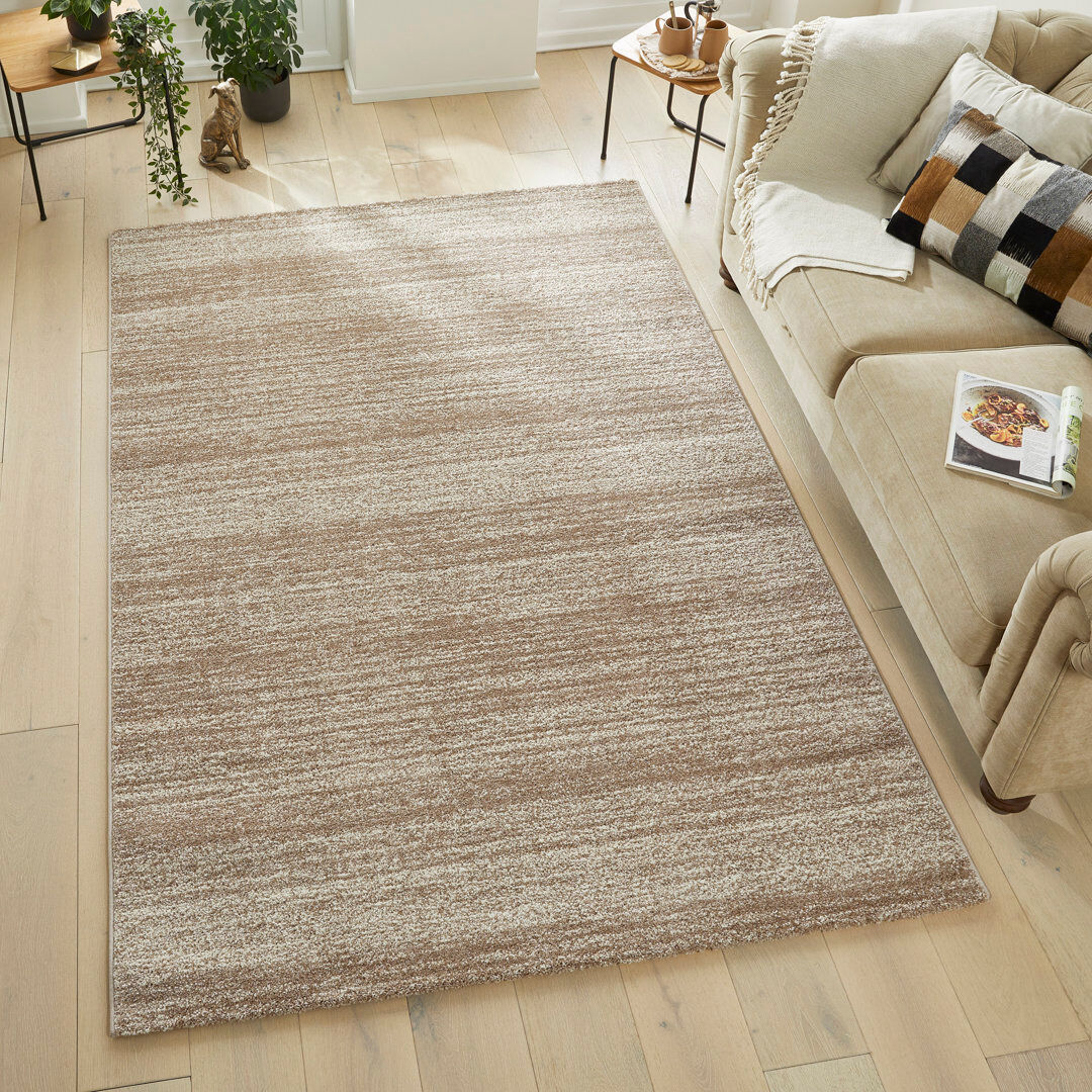 Concept Looms Plush Beige Area Rug Beige Rectangle 160 x 230 cm