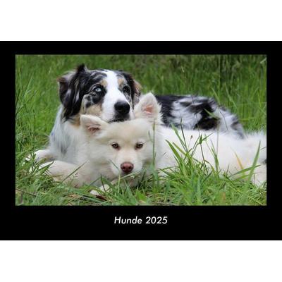 Hunde 2025 Fotokalender DIN A3
