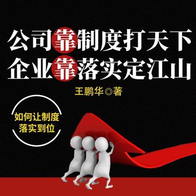 公司靠制度打天下 企业靠落实定江山 - 王鹏华, Audio, 4069828641525