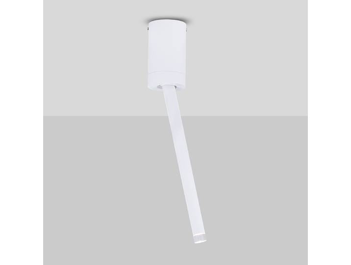 Plafonnier Ornos 30cm Blanc/Blanc Matériau : Métal Surface en métal : Laqué Type de métal : Aluminium LED Module LED