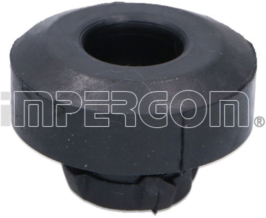 Lagerung, Kühler IMPERGOM 32418