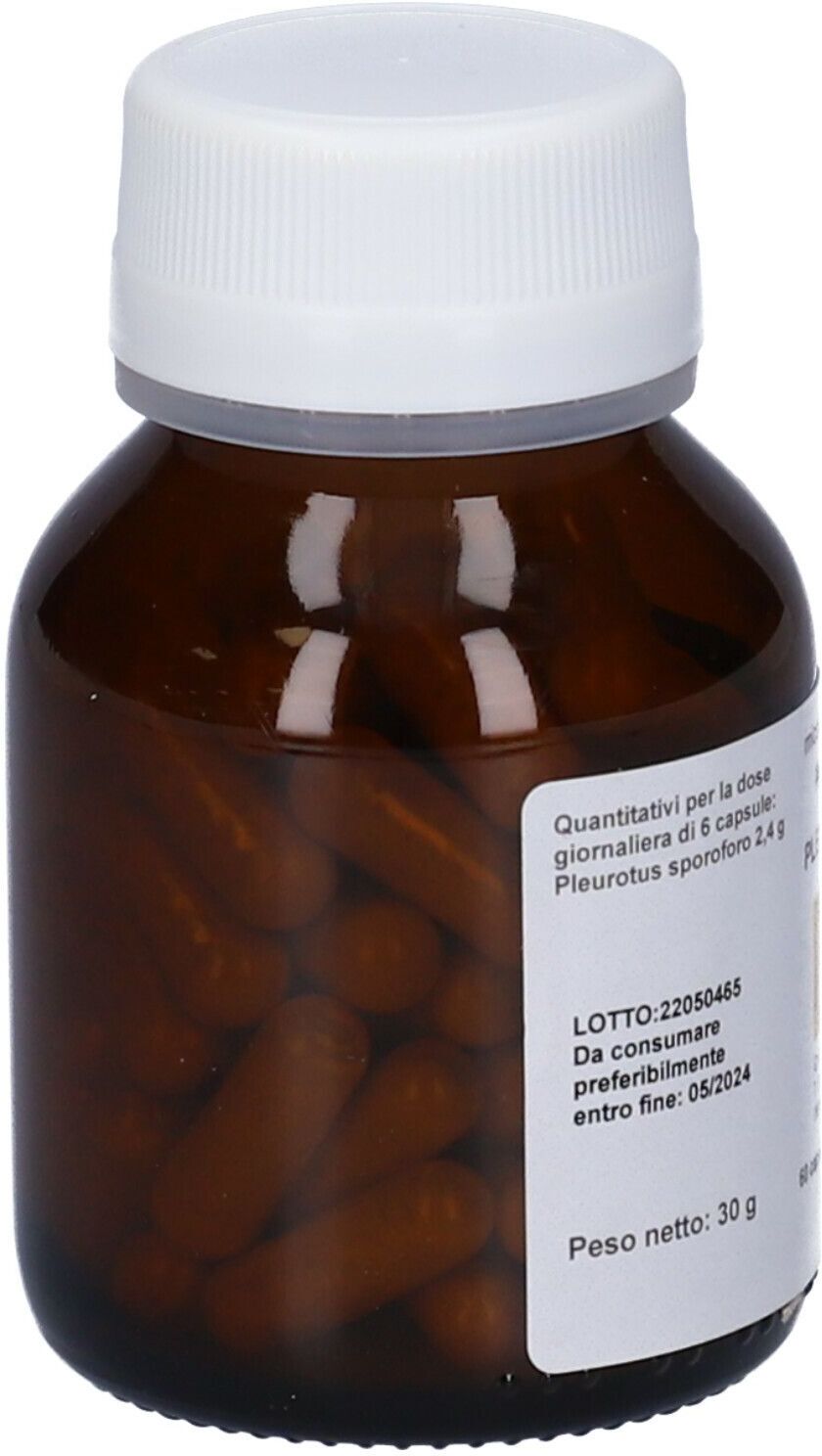 Oti Pleurotus Micoimmuno 6Cps
