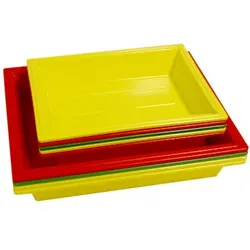 AD Laborschale 18x24cm (Angebot)
