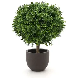 Designplants/Luca Lifestyle Buchsbaum Kugel Kunstpflanze (h:50 cm) mit Terreno New Egg Blumentopf