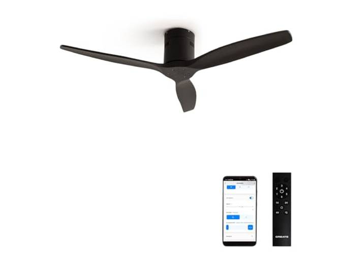 CREATE/WINDCALM DC/Black DC motor plafondventilator/Stil, timer, met WIFI