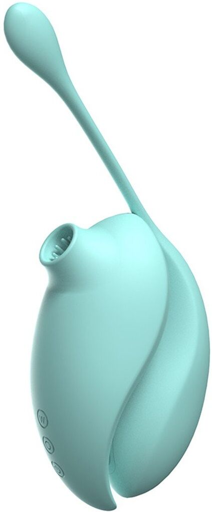 Dreamy Toys Vibromasseur à succion clitoridien avec son œuf vibrant à distance Turquoise