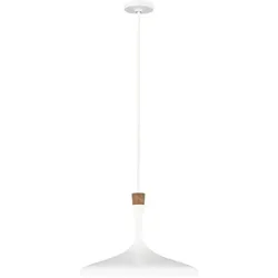 Elstead Lighting, Pendelleuchte, Darwin Hängeleuchte E27 Mattes Weiss (E27)
