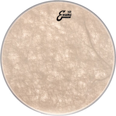 "Evans 20"" Calftone Bass Drum "