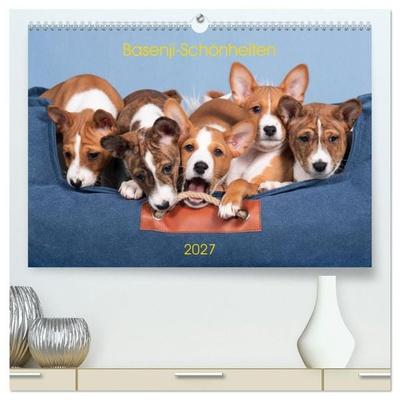 Basenji-Schönheiten (hochwertiger Premium Wandkalender 2027 DIN A2 quer), Kunstdruck in Hochglanz