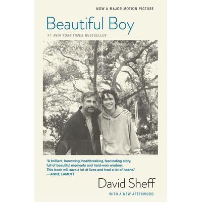 Beautiful Boy (Tie-In), Taschenbuch von David Sheff, US Books, 978-1-328-97471-6