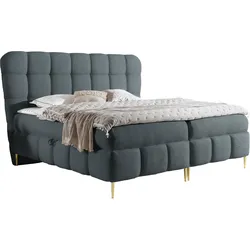 BOXBETT Lolly - H3