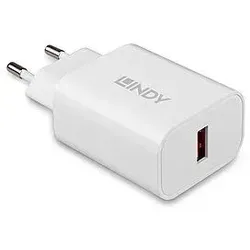Lindy 73412 Ladegerät für Mobilgeräte Smartphone, Tablets Weiß AC Schnellladung Drinnen, Draußen
