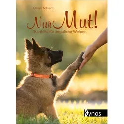 Nur Mut!, Ratgeber von Chrissi Schranz