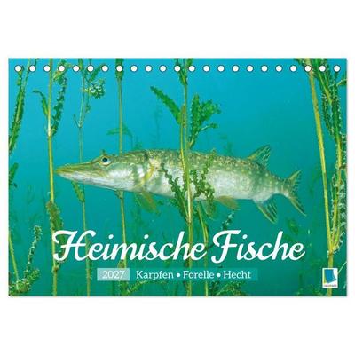Heimische Fische: Karpfen, Forelle, Hecht (Tischkalender 2027 DIN A5 quer), CALVENDO Monatskalender
