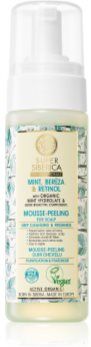 Natura Siberica Mint, Bereza & Retinol mousse esfoliante para o couro cabeludo 170 ml. Mint, Bereza & Retinol