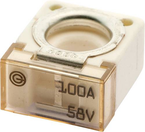 IMaXX cubeOTO CF100 Kfz Standard Flachsicherung 100A Transparent 1St.