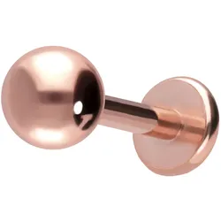 Titan Labret mit Push Fit