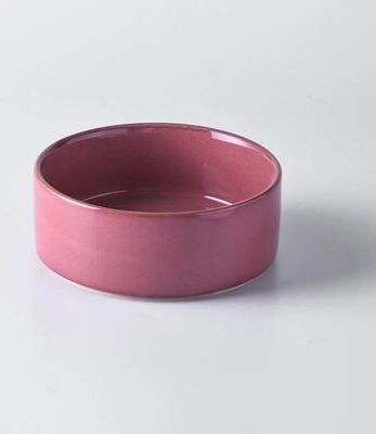 Uplift Treasures Elevated Ceramic Cat Food Bowl b 13cm 400ml