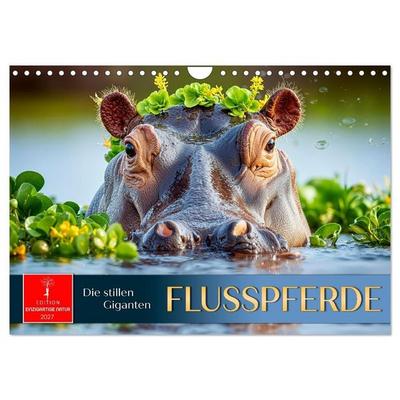Flusspferde - die stillen Giganten (Wandkalender 2027 DIN A4 quer), CALVENDO Monatskalender