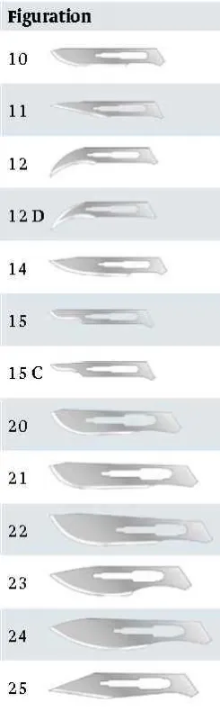 PFM medical gmbh Einmal Skalpellklingen, Feather, steril (100 Stück) Fig.20 02.010.00.020