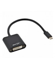 InLine USB Display Konverter USB-C Stecker zu DVI Buchse DP Alt Mode schwarz 0.2m Schwarz (64103B)