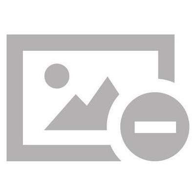Inktank Publishing Die Deklination im Sklavisch-Litauischen und Germanischen (Deutsch, August Leskien, 2020) (56109035)