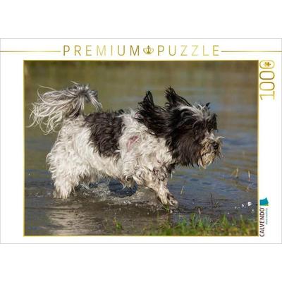 CALVENDO Puzzle Havaneser am See | 1000 Teile Lege-Größe 64x48cm Foto-Puzzle für glückliche Stunden
