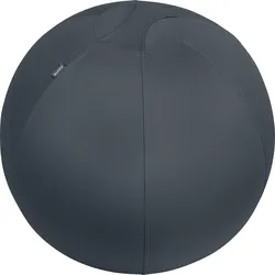 LEITZ 52790089 - Leitz Ergo Cosy Active Sitzball, Samtgrau