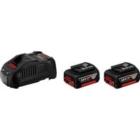 PRO Starter-Set 18V (2x GBA 18V 5.0Ah + GAL 1880 CV Professional), Ladegerät schwarz, 2x Akku + Ladegerät, AMPShare Alliance