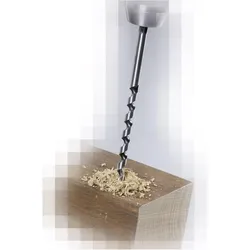 Alpen, Bohrereinsatz, Holzbohrer/Bohrer, 10-600/530mm, (0022801000100)