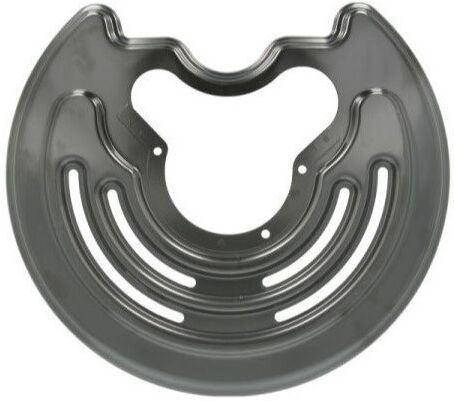 PROCARO PR19-1138 Brake disc backing plate