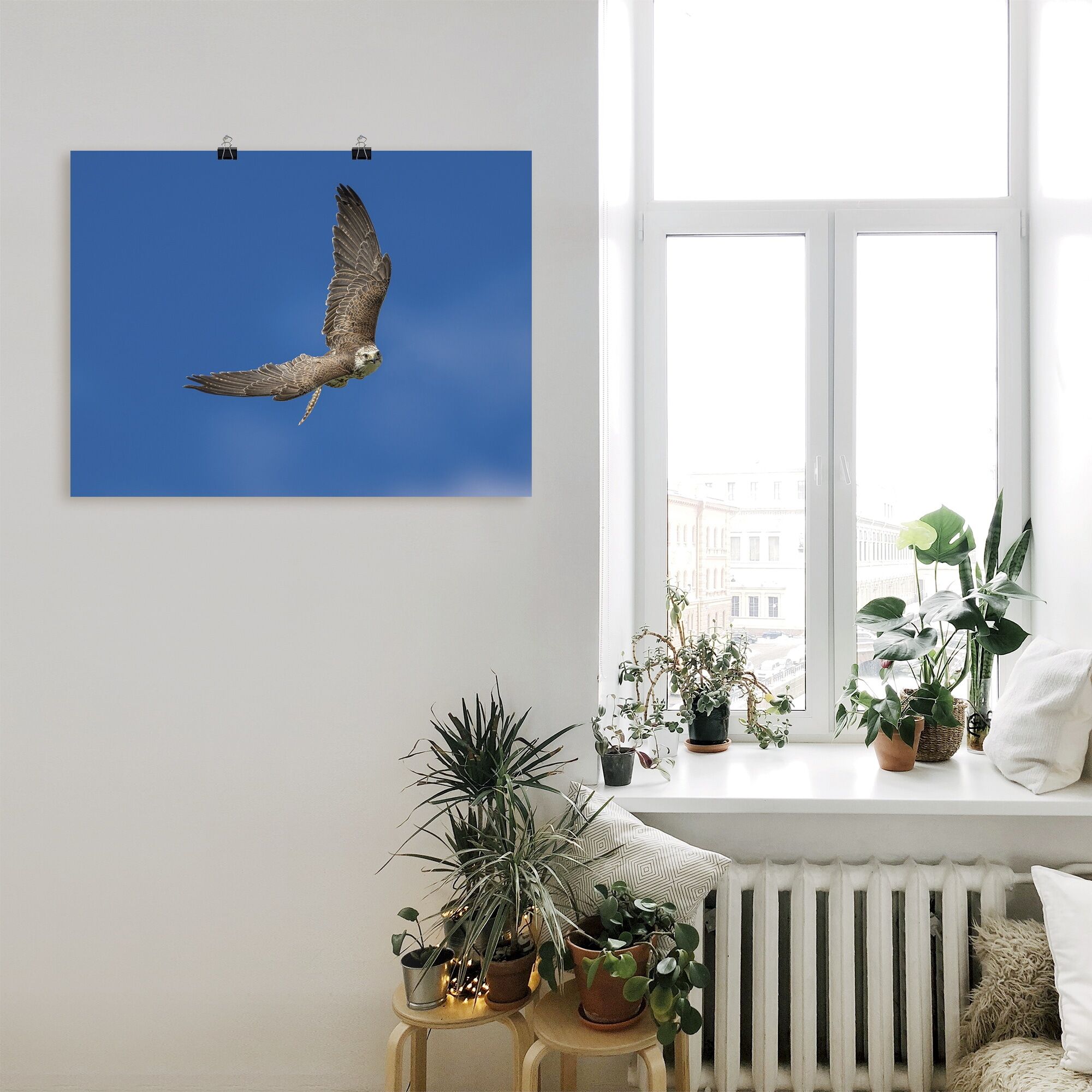 Poster ARTLAND "Der Falke", blau (farbe bild(er): blau), B:80cm H:60cm, Bilder, Poster, ohne Rahmen farbe bild(er): blau B/H/T: 80cm x 60cm, Poster Vögel Querformat, 1 Stk.