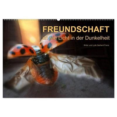 Freundschaft (Wandkalender 2027 DIN A2 quer), CALVENDO Monatskalender