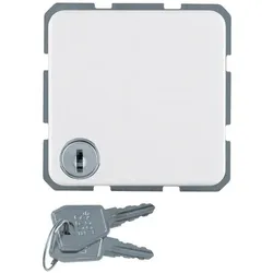 Berker, Steckdose, Schuko-Steckd.pws