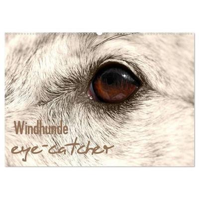 Windhunde eye-catcher (Wandkalender 2026 DIN A2 quer), CALVENDO Monatskalender