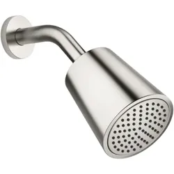 Dornbracht Kopfbrause Tara 2850497906 platin matt, mit Antikalk-System